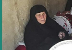 فرمانده حوزه مقاومت بسیج دیشموک درگذشت مادرشهیدتربالی را تسلیت گفت+متن پیام