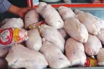 توزیع مرغ منجمد تا پایان ماه رمضان در دیشموک ادامه دارد