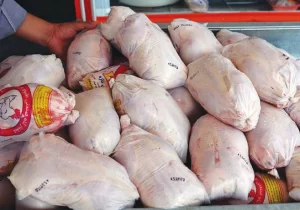 توزیع مرغ منجمد تا پایان ماه رمضان در دیشموک ادامه دارد