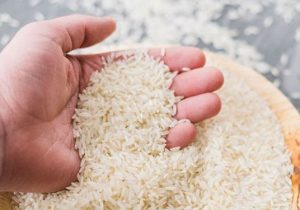 آشفته بازار برنج نیازمند مدیریت است/افزایش قیمت عادی نیست
