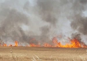 عامل بیشتر آتش سوزی های منطقه اعلام شد