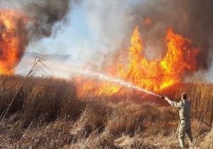 عامل آتش‌سوزی جنگل‌ها و مراتع دستگیر شد