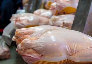 کاهش قیمت مرغ با افزایش تولید