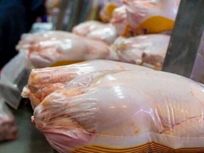 کاهش قیمت مرغ با افزایش تولید