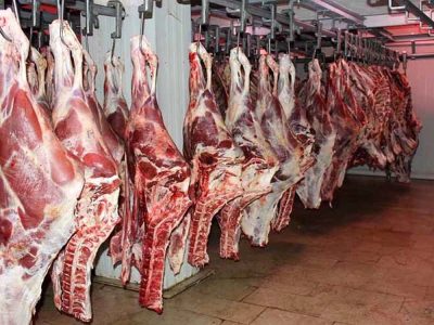 رفع کمبود گوشت قرمز در بازار با واردات 