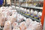توزیع ۲۰ تن مرغ منجمد در بازار کهگیلویه و بویراحمد
