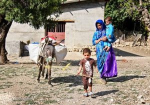 نماینده عالی دولت: ۱۰۴روستای دیشموک نیازمند اجرای طرح هادی