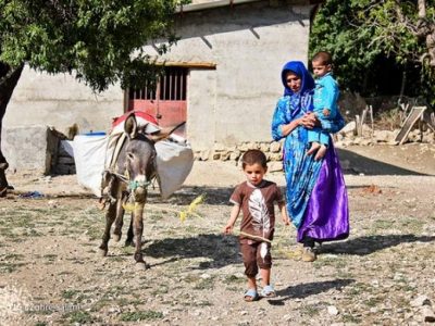 نماینده عالی دولت: ۱۰۴روستای دیشموک نیازمند اجرای طرح هادی