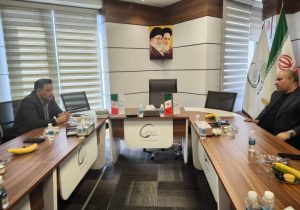 دیدار مدیرعامل پتروشیمی دهدشت و فرماندار کهگیلویه در تهران
