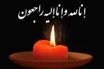 پیام سید محمد موحد نائب رئیس کمیسیون اصل نود مجلس شورای اسلامی در پی درگذشت محمد ناصر نیکبخت