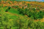 انقلابی در خدمات‌رسانی به روستای درغک/ گزارش دستاوردهای دهیاری در گفت‌وگو با ضرغام آذرخش 