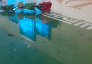 گزارش ویژه از يادواره شهدای بخش دیشموک و استقبال از شهدای گمنام در دیشموک+فیلم و عکس