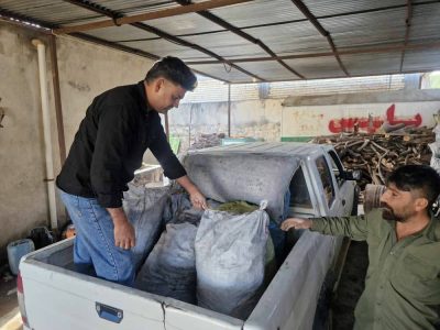 دستگیری قاچاقچیان چوب و زغال در استان همزمان با بارش‌ها