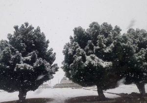 تعطیلی مدارس شیفت عصر دیشموک به دلیل بارش شدید برف و یخ‌زدگی با تصمیم بخشدار دیشموک