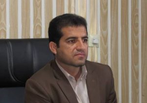 مدیر جهاد کهگیلویه: اقلام دولتی تنظیم بازار در آذرماه ۱۴۰۴توزیع شد