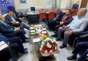 فرماندار کهگیلویه: همه ظرفیت‌ها برای شتاب‌بخشی به تکمیل پتروشیمی دهدشت به کار گرفته شود