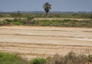 شلاق خشکسالی بر آسمان و زمین خوزستان/خشک‌سالی+تصاویر