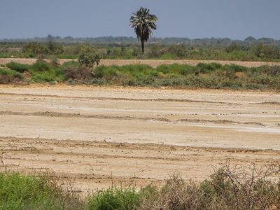 شلاق خشکسالی بر آسمان و زمین خوزستان/خشک‌سالی+تصاویر