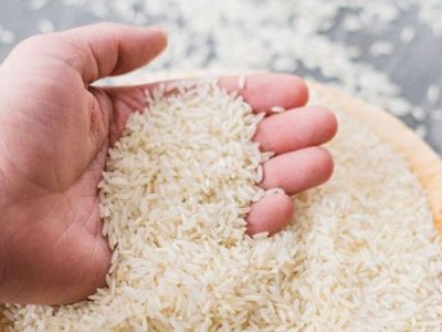 آشفته بازار برنج نیازمند مدیریت است/افزایش قیمت عادی نیست