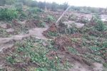 بارش ها ۱۲۵ میلیارد تومان به کشاورزی کهگیلویه و بویراحمد خسارت زد