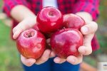 ریشه کنی بیماری قند خون یک راه بیشتر ندارد / مصرف این میوه در ناشتا تا آخر عمر