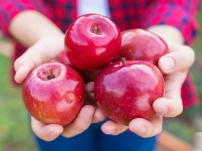 ریشه کنی بیماری قند خون یک راه بیشتر ندارد / مصرف این میوه در ناشتا تا آخر عمر