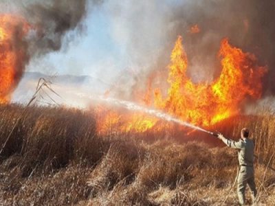 عامل آتش‌سوزی جنگل‌ها و مراتع دستگیر شد