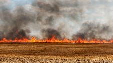 مهار آتش سوزی مناطق دشت آهو و کارند در بهمئی