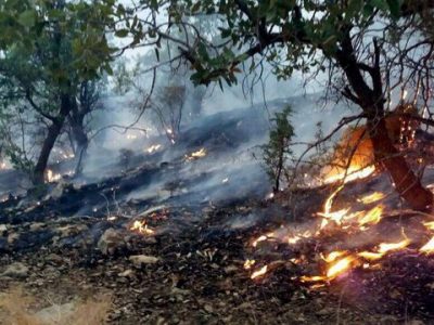 شناسایی عاملان آتش سوزی جنگل های استان