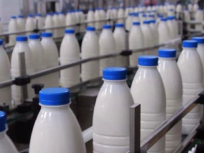 مخالفت با افزایش قیمت شیر در کهگیلویه و بویراحمد