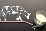 آیا شیر گاو برای انسان بد است؟ علم چه می‌گوید؟