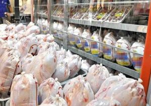 توزیع ۲۰ تن مرغ منجمد در بازار کهگیلویه و بویراحمد