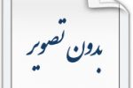 دستگیری عامل قدرت نمایی با سلاح گرم در منطقه