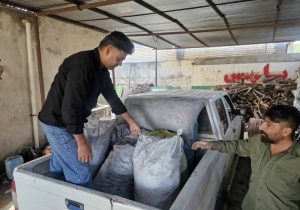 دستگیری قاچاقچیان چوب و زغال در استان همزمان با بارش‌ها